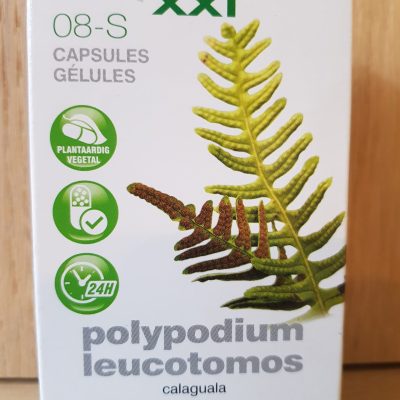 polypodium 2